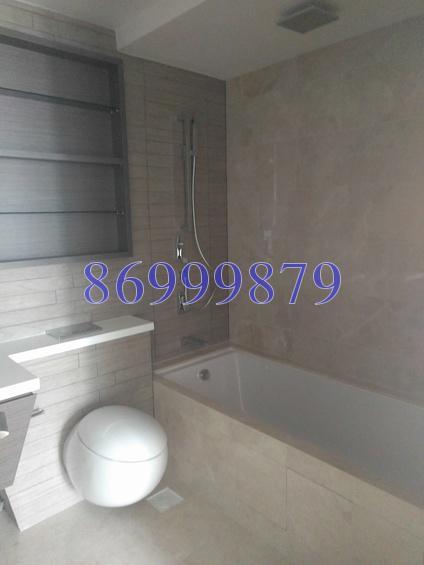 V On Shenton (D1), Apartment #158750852
